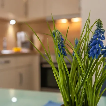 Appartement Kleine Perle - Waldstrasse 5 Dahme (Schleswig-Holstein)