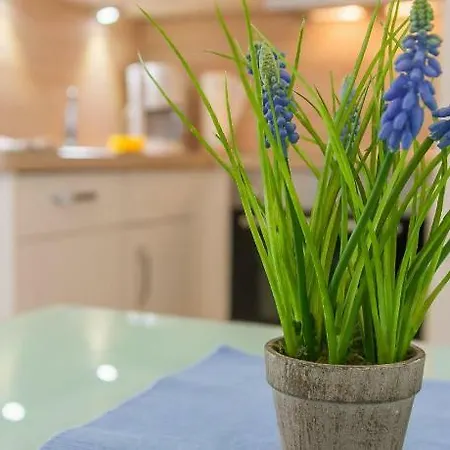 Kleine Perle - Waldstrasse 5 * Dahme (Schleswig-Holstein)